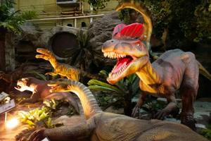 哎呀！博物馆【自然博物馆B】元旦/寒假天天发 追寻自然奥秘，探索生命起源（-本款至少提前4天）