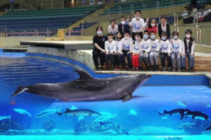 志愿北京3h【夜宿北京海洋馆】11.15/22/29/12.21海底露营，寻找属于你的海底奇缘