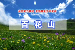 周末1日【百花山】无边草甸｜长长栈道-缭绕云雾-百花山上有百花-休闲登山摄影