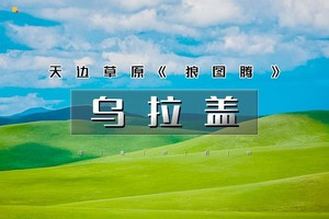 端午3天【99号草原公路】锡盟草原大环线｜平顶山火山群-瞭望山-半拉山-牛奶湖-99号彩虹公路-石条山-游牧部落