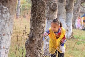 【冬日农场打工记】昌平亲子11.8/9/15/16捡鸡蛋腌泡菜，小树刷白，做糖葫芦，领工资，沉浸式打工生活