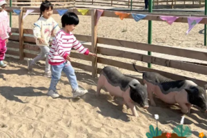 公益时长3h【播种春天】3.7/8/14/15/21/22/28房山亲子植树/赶小猪or捡鸡蛋/草莓采摘or手作风筝