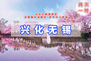 3.28-3.29『情定•无锡兴化』80-03单身相约｜【花海为媒 船作鹊桥】鼋头渚樱花谷+兴化千垛油菜花海+水上森林