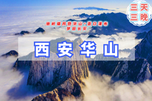 元旦3日【华山西安B】梦回长安城｜壶口瀑布-登华山之巅-游秦兵马俑-大唐不夜城
