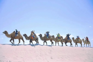 （必发抢位）五一亲子【华子鱼·洄游】5.1-4沙漠火山草原湖泊，去看华子鱼洄游，