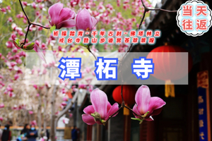 周末/清明1日【潭柘寺】玉兰花开｜千年古刹-皇家寺院-戒台寺登山步道休闲1日游