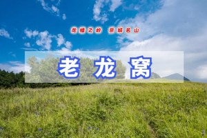 周末1日【老龙窝】穿林海行走高山草甸-远眺群山云雾缭绕-老龙窝11公里环穿<中级强度>
