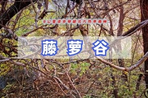 国庆/周末1日｜藤萝谷｜冷水峪-河防口-九谷口の徒步穿越北方『热带雨林』 8公里经典穿越