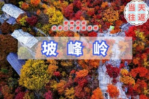 周三四/周末1日【坡峰岭】漫步红色海洋-年度醉佳红叶观赏地-可品当地特色饸烙面