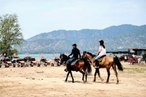 周末1日【京西野骑】十点出发｜骏马疾驰の京西草原20公里野骑路线（新手友好·老手爽骑）