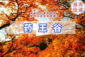 周末1日【泗马沟】京郊红叶秘境｜赏奇景胜境-户外驴友口口相传药王谷-漫山红遍层林尽染