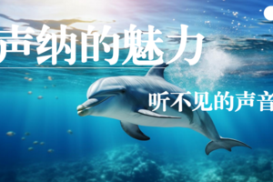 （海下潜艇奥秘：声呐技术）11.1/15/12.6/中科趣味研学~了解声呐，揭秘海洋生物、潜艇在水下的奥秘