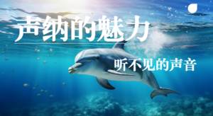 （海下潜艇奥秘：声呐技术）3.29/4.19中科趣味研学~了解声呐，揭秘海洋生物、潜艇在水下的奥秘