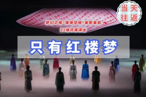 周末1日只有红楼梦【中午12点出发】梦幻之境-情境空间-美轮美奂-赠送大剧（不用早起）