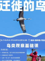 公益时长2h秋季观鸟11.15/16/22/23/29/30【奥森/圆明园/百望山】农大博士主讲(多公园可选)