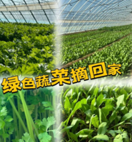 海淀田野植树季｜69.9元/孩子3.7/8/14/15/21/22/28/29带孩子种树、养蚕，逛农场遛娃