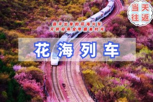 周三周末/清明1日【花海列车】观开往春天的列车｜长城内外-分外妖娆-居庸关长城-春光正好