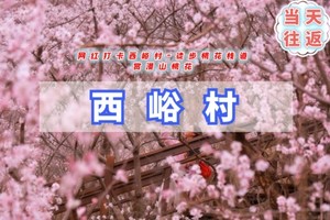 周四周末/清明1日｜西峪村桃花｜网红打卡西峪村-徒步桃花栈道赏漫山桃花-辛庄生活市集