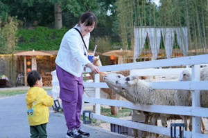 【春日动物派对】3-8岁专属|5.1/2/3/4/5谁动了我的胡萝卜+剧情推理+动物侦探的新衣+软糯棉花糖