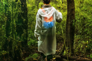 10.2国庆4日 | 哀牢山徒步 | 昆明 秘境哀牢山 抚仙湖 麒麟山（全年多期）