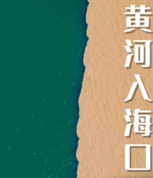 端午3日【黄河入海口】6.19-21魏氏庄园+黄河口生态景区+黄河文化馆+华八井＋鸿港夜市
