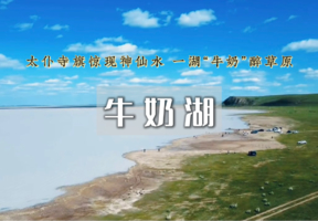 端午3天｜尚义康保｜6.19-21冀蒙草原穿行の私藏小众草原湿地-回归原生态-畅游河北内蒙草原之旅