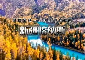 国庆7天｜新疆喀纳斯｜10.1-7喀纳斯-赛里木湖-天山天池-禾木-五彩滩-魔鬼城-胡杨林-安集海大峡谷