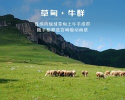 周三/周末1日｜饮牛渠｜京郊阿勒泰の漫山野花-溪流牛羊-空中草原徒步穿越-小众高山秘境