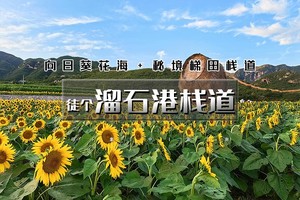 周末1日｜溜石港桃花｜万树桃花醉溜石+秘境梯田栈道-山洞拍照-古村探秘-打卡网红后院户外8公里休闲徒步