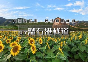 中秋1日｜溜石港栈道｜九点出发-打卡网红小众向日葵花海+秘境梯田栈道7公里休闲 