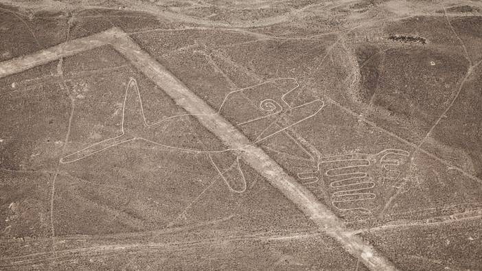 主题|纳斯卡巨画 半日体验式团建