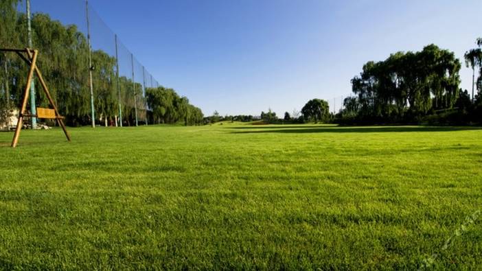 主题团建|疯狂过山车半天团队建设活动