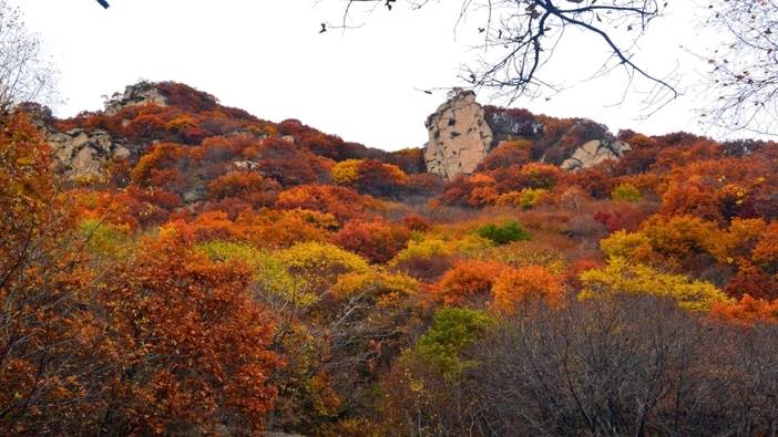 和老外徒步怀柔喇嘛沟门
