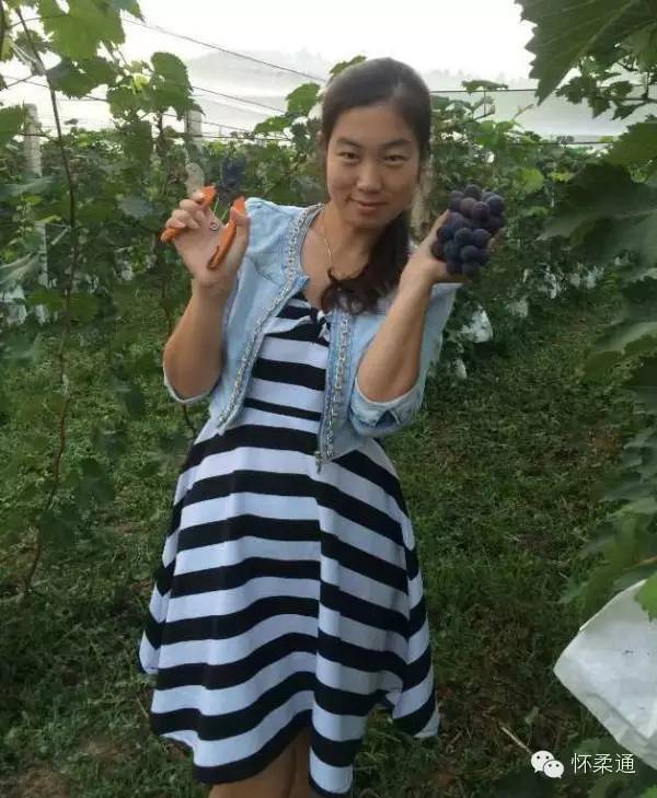 mmexport1440654186801.jpg 图片