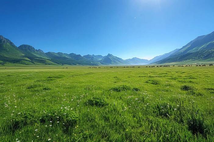 摄图网_403750184_广袤的草原(企业商用).jpg