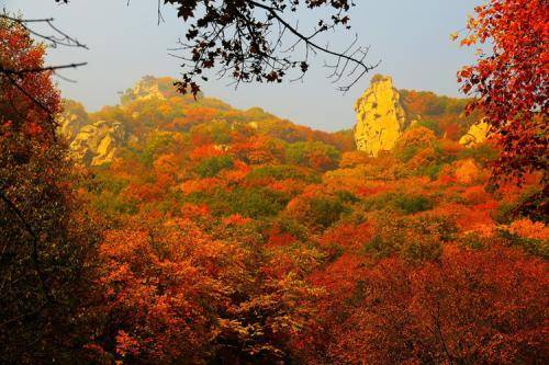 怀柔喇叭沟门原始森林