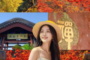 非周末及周末一日游B房山水峪村赏红叶+戒台寺纯玩团