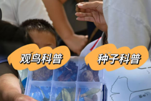 【国家植物园南园】11.8/11.16种子的旅行：寻秋果，发现植物妈妈的N种办法