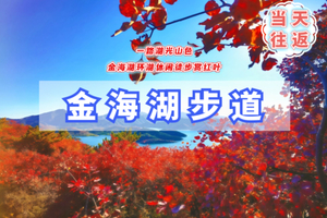 周末1日｜金海湖步道｜九点半出发-小众绝美徒步栈道の一路湖光山色-9公里户外徒步