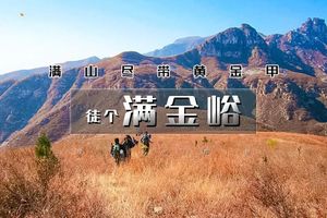 周三/周末1日【满金峪】徒步赏秋实现柿子自由 | 看金色草甸-五指峰-娘娘庙-金山寺仿古