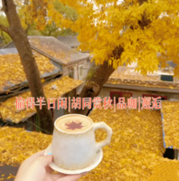 单身专线11.16周日胡同赏秋〖邂逅相遇〗落地窗品咖啡览北平的秋，打卡网红书店，邂逅同频的你