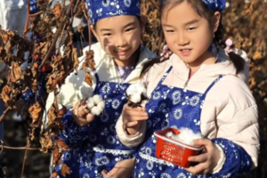 大兴棉花采摘【暖暖棉花季】12.7/13/14/20手工小羊肖恩，制作棉花糖，体验棉田里的奇妙旅程