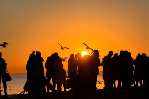 东疆港海边日出12.31晚-1.1元旦跨年｜迎接2026年曙光の西伯利亚海鸥-打卡天津网红点