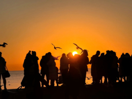 东疆港海边日出12.31晚-1.1天津元旦跨年B｜迎接2026年曙光の西伯利亚海鸥-打卡天津网红点