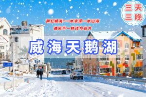 （余8）元旦3日【威海+天鹅湖B】12.31晚-1.3网红威海｜一半浪漫一半山海-奔赴一场山海之约-与天鹅共舞