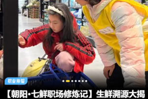 志愿北京2小时【朝阳七鲜职场修炼记】1.17/28生鲜溯源大揭秘·超市分享家实战·三大岗位·肉类知识