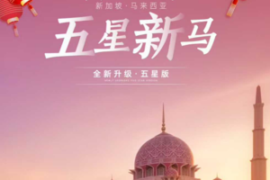 春节2.13新马尾款