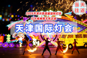 周末1日｜天津国际灯会｜不用早起-11点出发-打卡杨柳青千年古镇-天津水西首届国际灯会