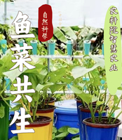 志愿北京6h趣探鱼菜共生3.7/8/14/15/21/22/28/29教授带你构建／阳台绿色生态/建造专属自己的微农场