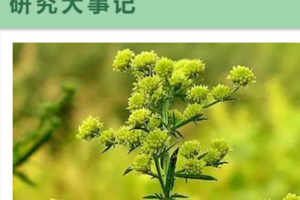 （志愿北京5h）科学家带队2.25仅此一期 发现青蒿素~亲手完成一次触及诺贝尔奖的实验